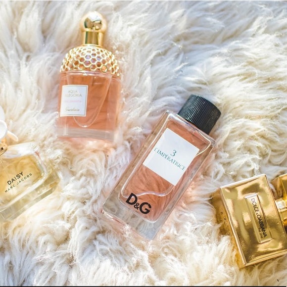 Meet your Posher, Tess - Picture 2 of 2